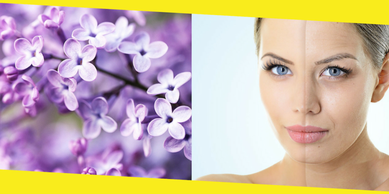 Top Flowers With Anti-Ageing Benefits