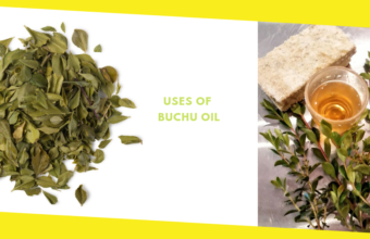 What Is Buchu Oil Used For?