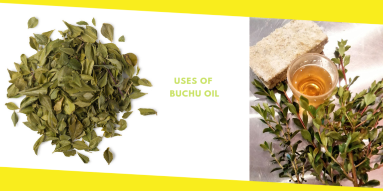 What Is Buchu Oil Used For?