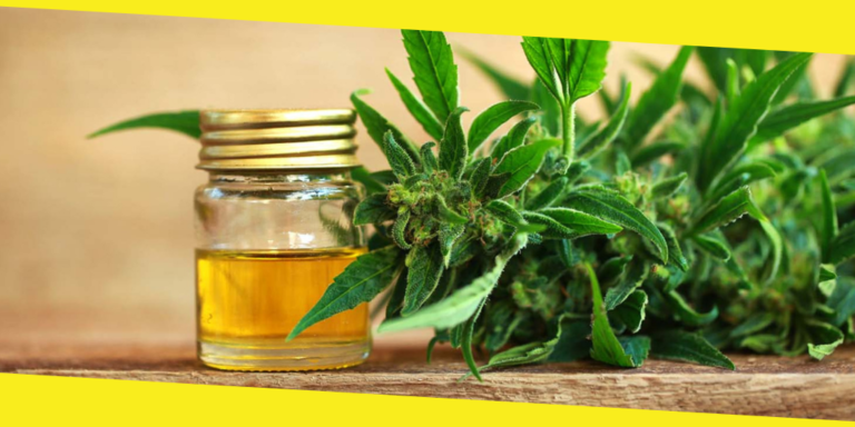 What Is CBD Oil?