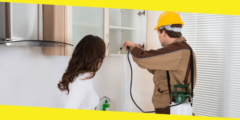Hire a Commercial Pest Control Service Immediately