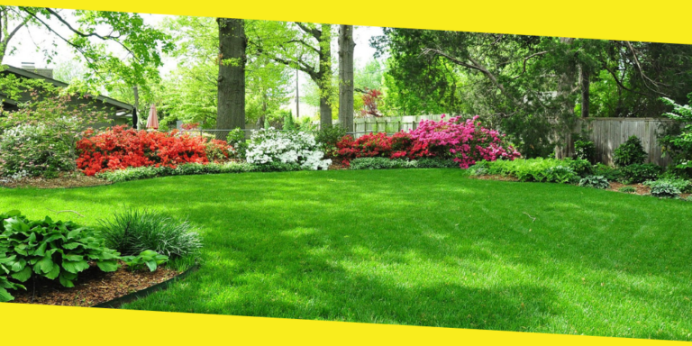 The Only Lawn Care Tips You’ll Ever Need