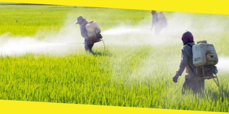 7 Common Types of Pesticides to Avoid at All Costs