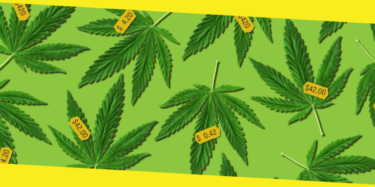 How to Pass a Hair Drug Test and How Long Does It Take?