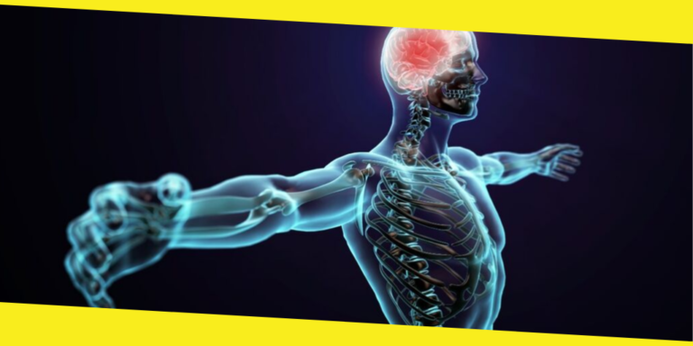 Taking Care of Your Nervous System