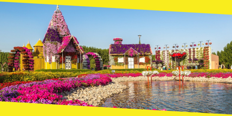 The Top 6 Must-Visit Places for Nature Lovers in Dubai
