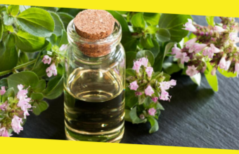 Top 10 Health Benefits of Oregano Oil That Make You Healthier and More Beautiful