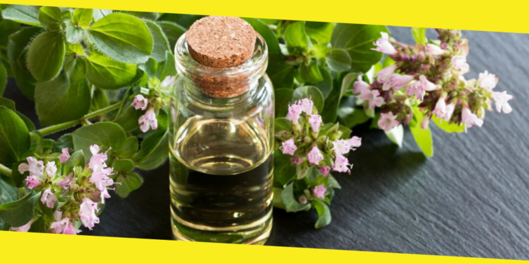 Top 10 Health Benefits of Oregano Oil That Make You Healthier and More Beautiful