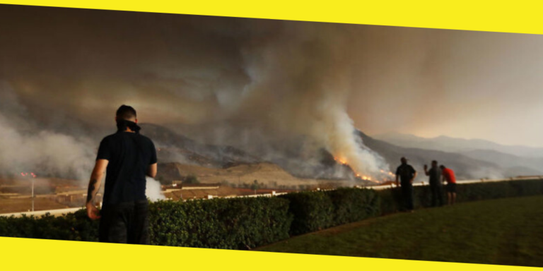 Harmful Effects of Smoke Exposure