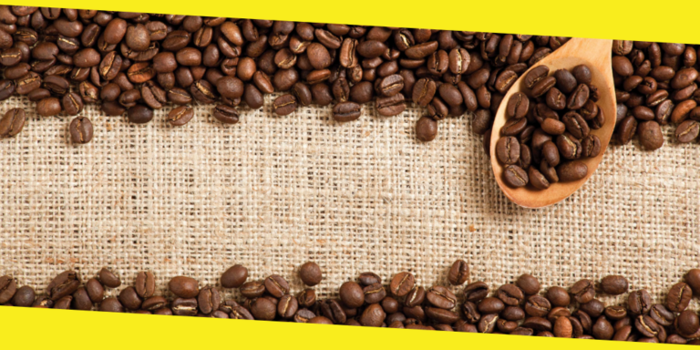 6 Tips for Sourcing the Best Coffee Beans for Your New Café