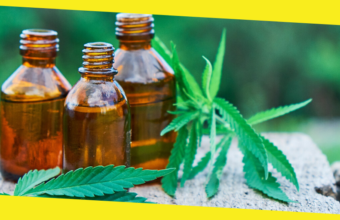 Why Has CBD Become So Popular?