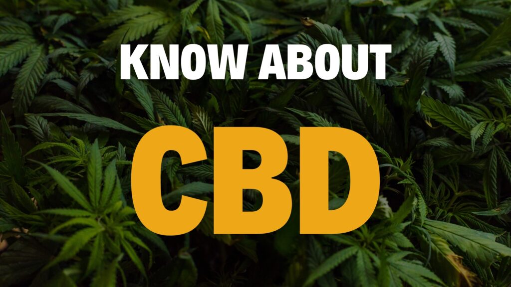 know about cbd