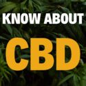 Everything You Need to Know About CBD