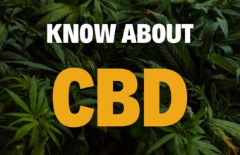 Everything You Need to Know About CBD