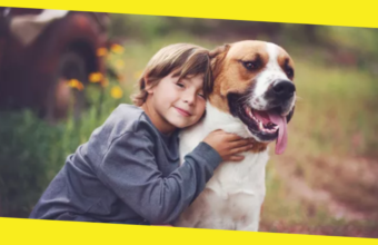 Importance of Child Safety Around Dogs