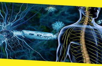 8 Early Symptoms of Multiple Sclerosis