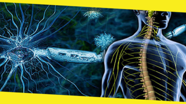 8 Early Symptoms of Multiple Sclerosis