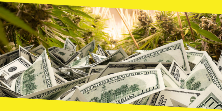 Cannabis Business Loans: What Questions Should You Ask Before Applying?