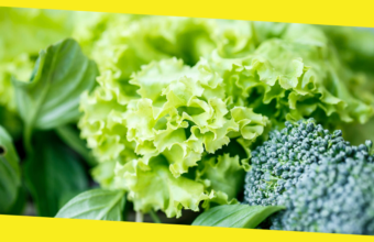 Why is Folate Important?