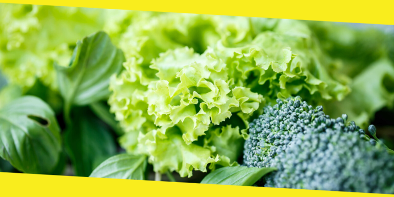 Why is Folate Important?
