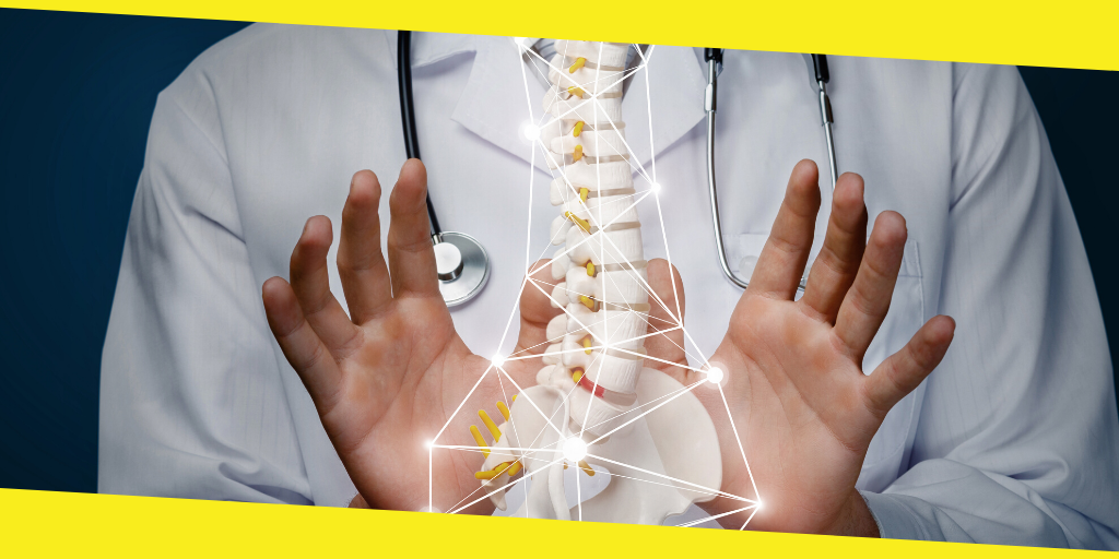 Career Options When You Gain A Degree In Chiropractic