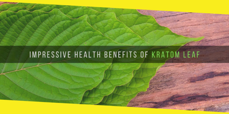 5 Impressive Health Benefits of Kratom Leaf