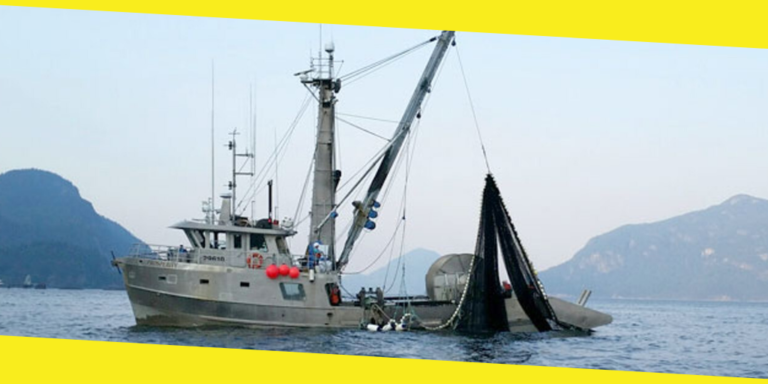 The World’s Most Dangerous Jobs