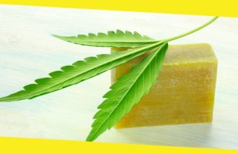 2 Popular Hemp Products That Are Not CBD Oil