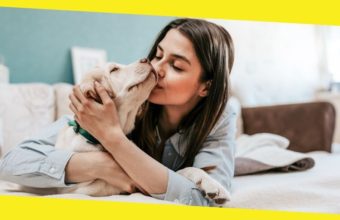 Keeping Your Dog Happy and Healthy Indoors