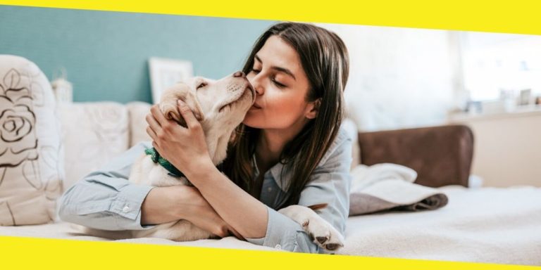 Keeping Your Dog Happy and Healthy Indoors
