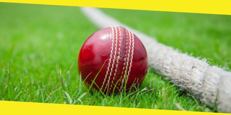 What You Need to Know to Make Money with Cricket Betting