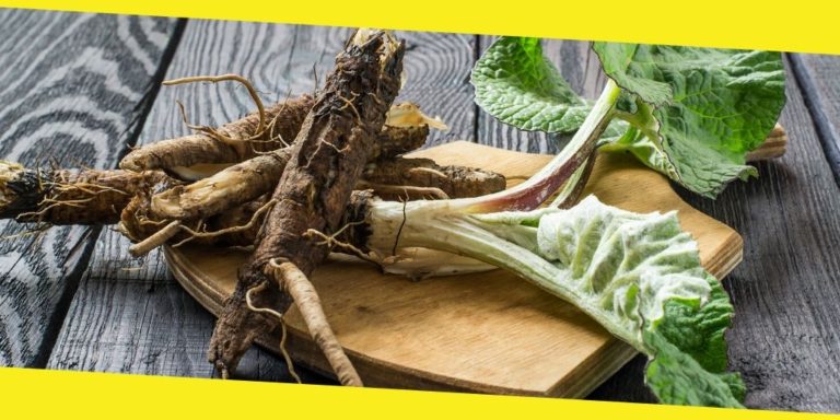 High Alkaline Herbs to Turbocharge Your Health and Diet