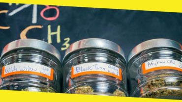 Things to Consider While Choosing an Online Dispensary