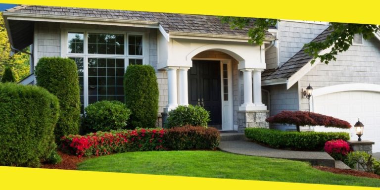 Water Saving Tips for Your Garden and Landscaping