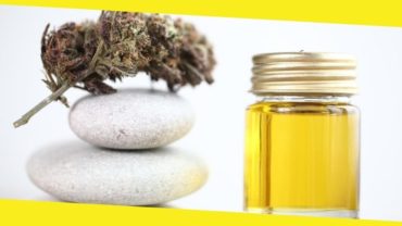 Health Benefits of CBD Hemp Flower