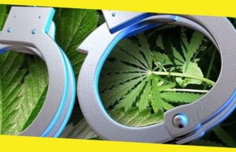 What to Do if You Are Arrested for Marijuana Possession