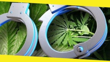 What to Do if You Are Arrested for Marijuana Possession