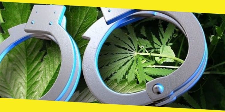 What to Do if You Are Arrested for Marijuana Possession