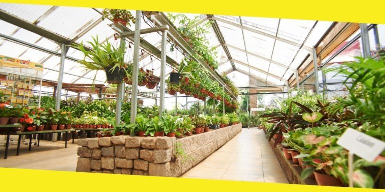 Choosing the Right Garden Center for Your Garden