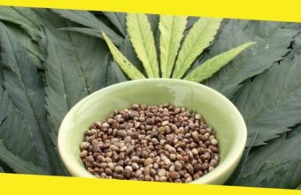 How Deep to Plant Marijuana Seeds