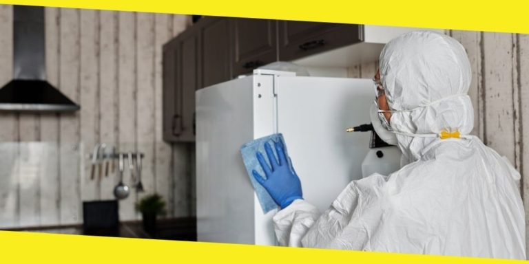 Should I Hire A Part-Time Or Full-Time Maid?