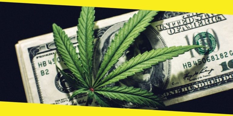 How to Join a CBD Affiliate as a Beginner