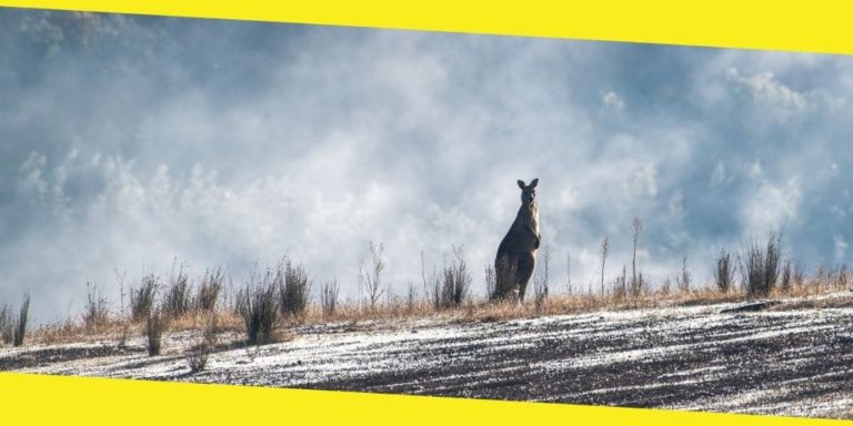 The Most Underrated Family Vacations In Australia 