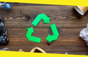 How to Identify Waste That Can and Can’t Be Recycled