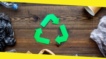 How to Identify Waste That Can and Can’t Be Recycled