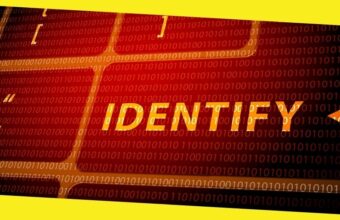 Identity Theft: Understanding the Consequences