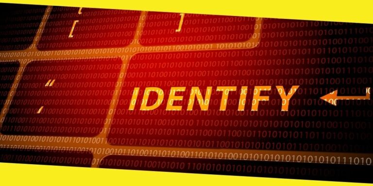 Identity Theft: Understanding the Consequences