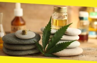 How Can CBD Products Improve Your Health and Immunity