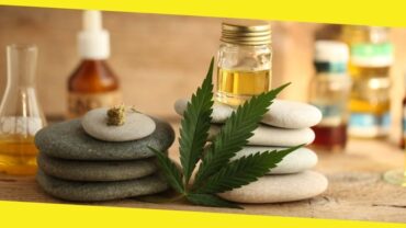 How Can CBD Products Improve Your Health and Immunity