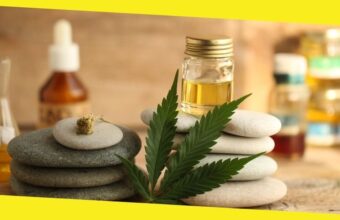 What are the Best CBD Products You Can Try